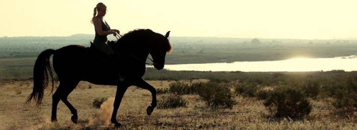 Auf dem Pferd in Andalusien